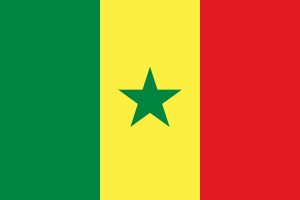 Senegal Appoints Official Focal Point for IVY 2026