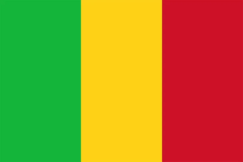 Mali Officially Designates a Focal Point for IVY 2026