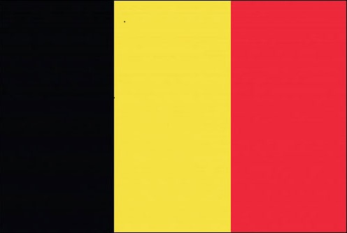 Belgium Appoints Official Focal Points for International Volunteer Year 2026