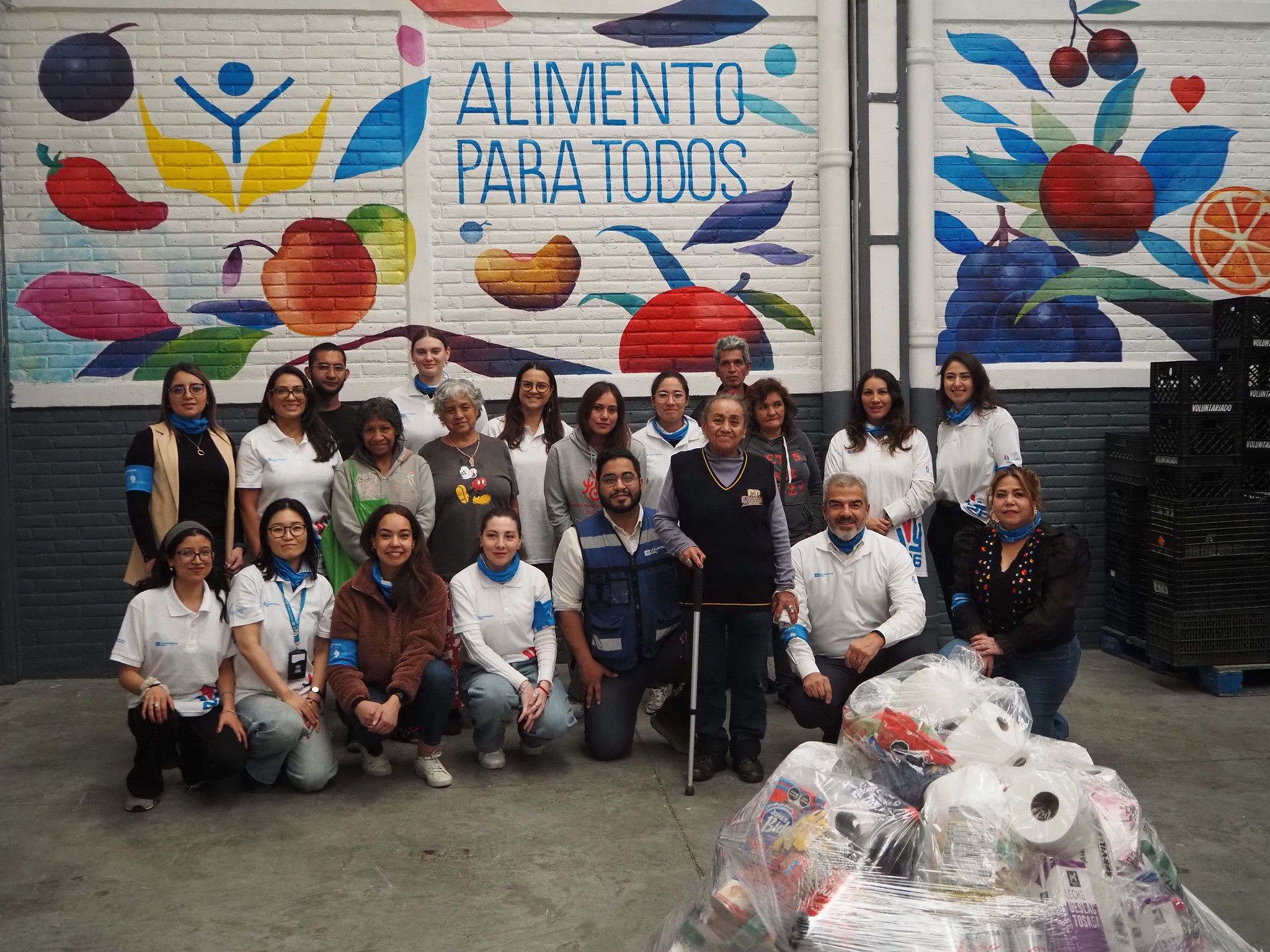 Regional volunteer activity for IVD