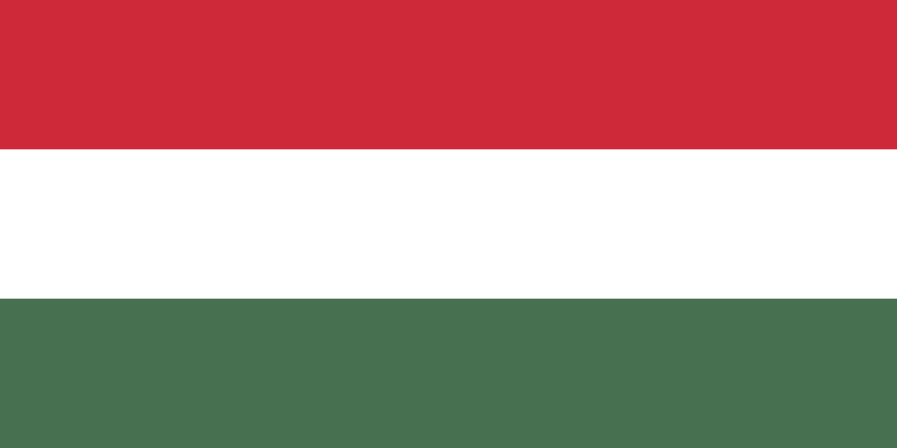 Hungary Appoints National Focal Point for International Volunteer Year 2026