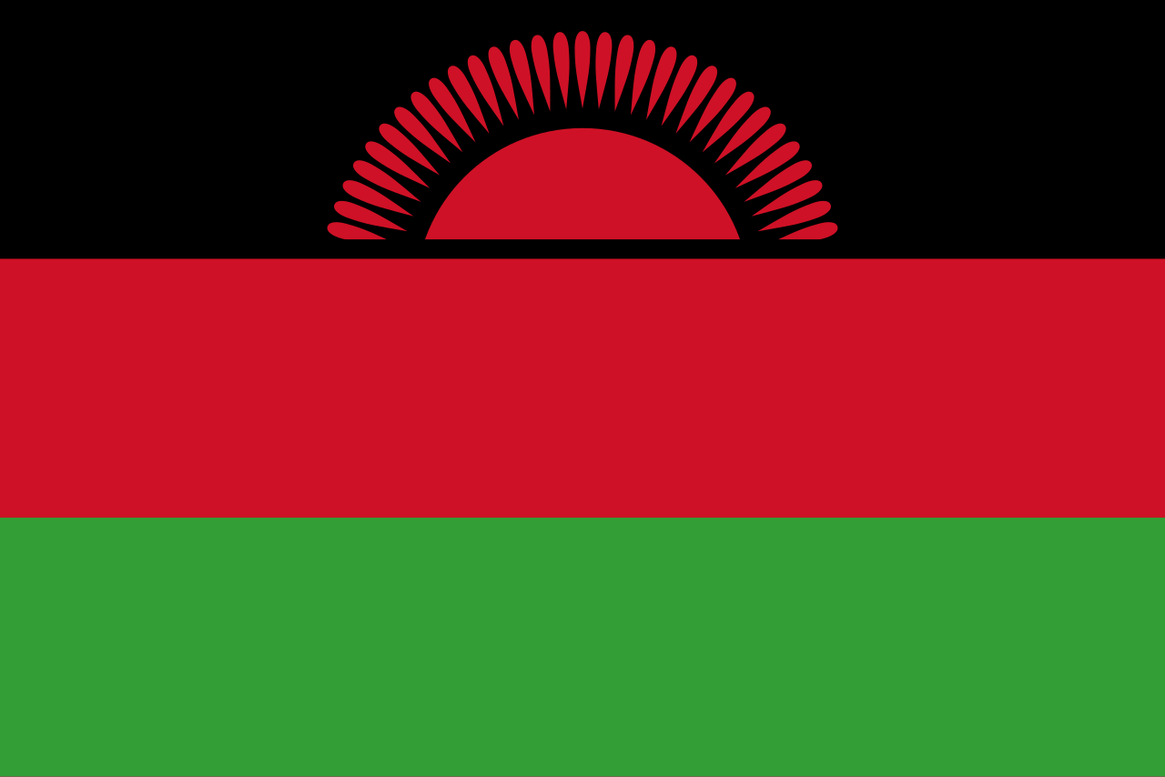Malawi Appoints National Focal Point for the International Volunteer Year 2026