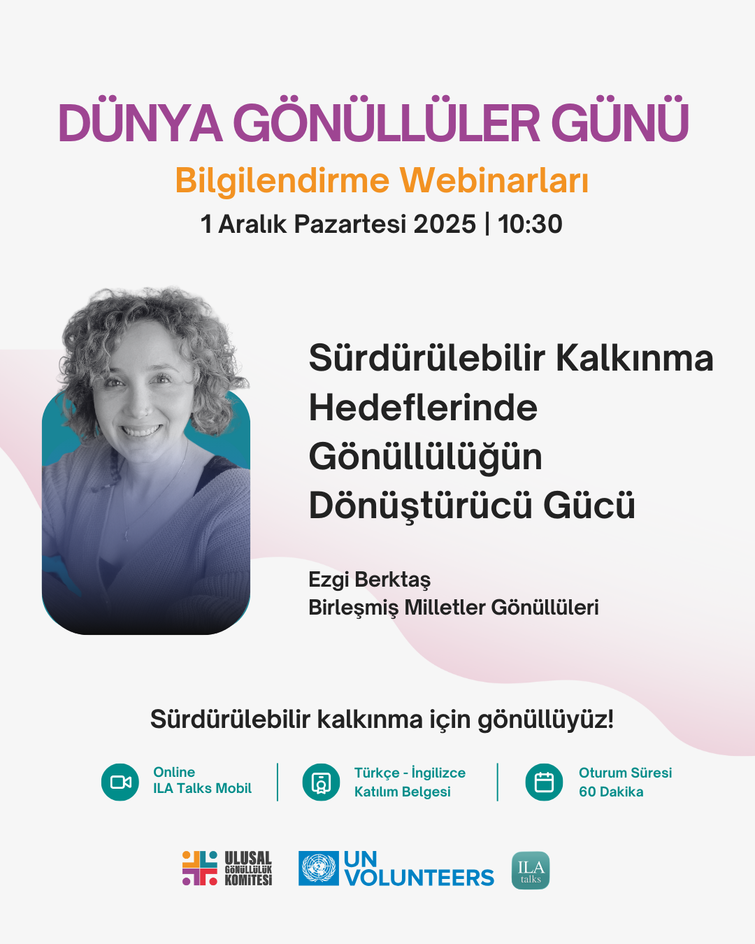 The Transformative Power of Volunteering in the Sustainable Development Goals