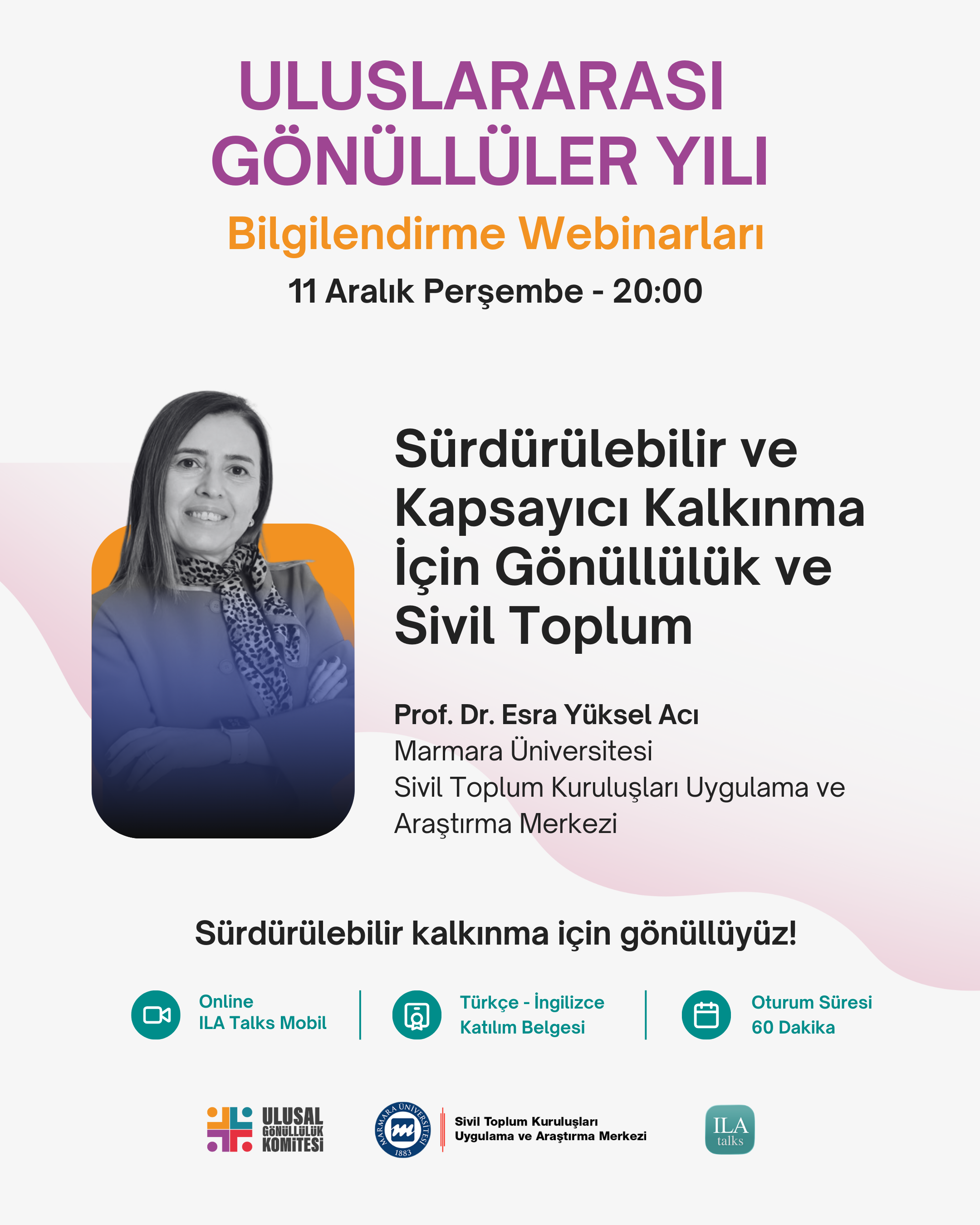 Volunteering and Civil Society for Sustainable and Inclusive Development