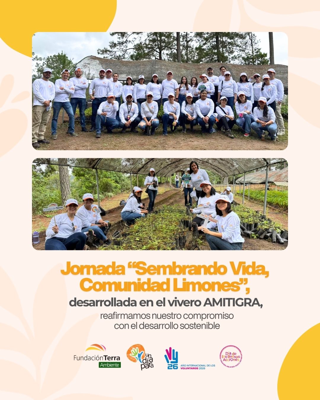 Sembrando Vida: Comunidad Limones Fundación Terra