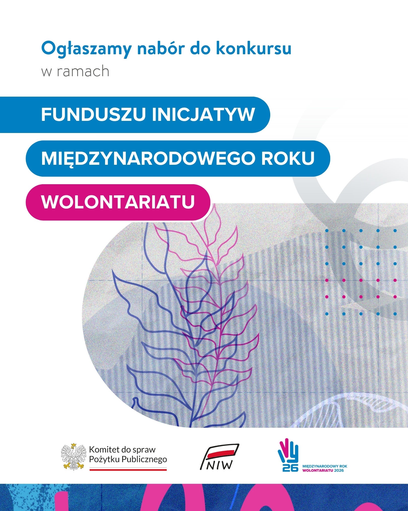 International Volunteer Year Initiatives Fund in Poland