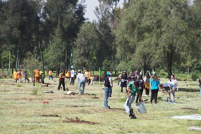 Jornada de Reforestación en el Bosque de San Juan de Aragón