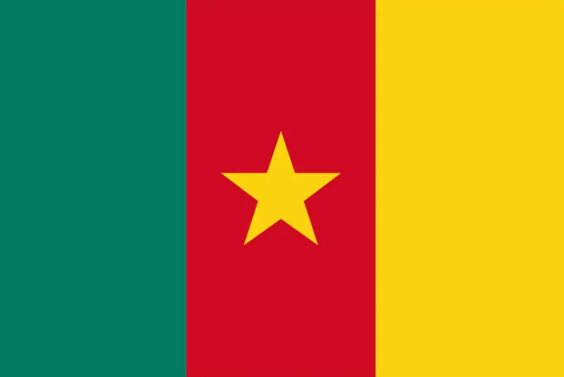 Cameroon Appoints National Focal Point for the International Volunteer Year