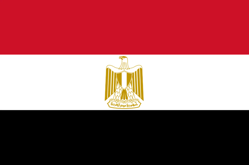 Egypt Appoints National Focal Point for the IVY 2026