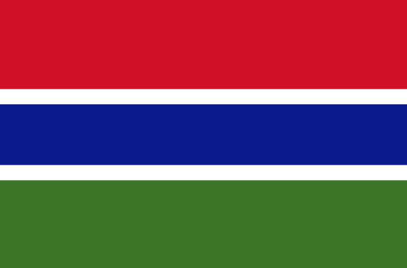  Gambia Appoints National Focal Point for IVY 2026