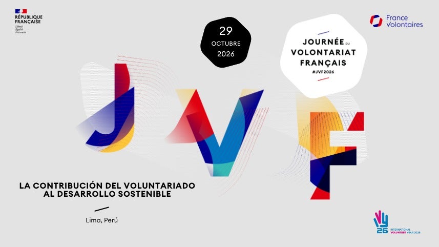 El voluntariado al servicio del desarrollo sostenible: Una ambición para 2030 y más allá 