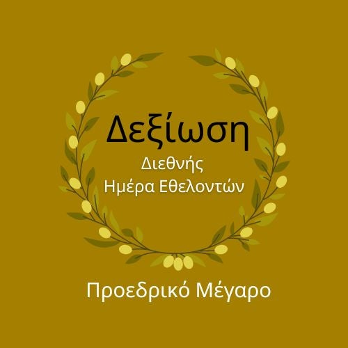 Reception at the Presidential Palace to Mark International Volunteer Day and the Closing of the International Year of Volunteers for Sustainable Development 2026