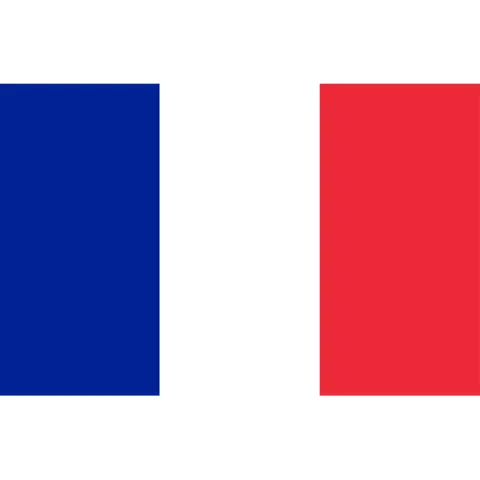 France national focal point