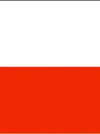 Poland IVY 2026 focal point