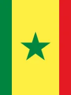 Senegal Appoints Official Focal Point for IVY 2026