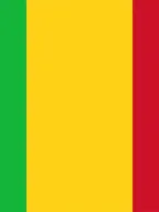 Mali Officially Designates a Focal Point for IVY 2026