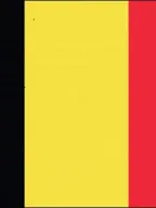 Belgium Appoints Official Focal Points for International Volunteer Year 2026