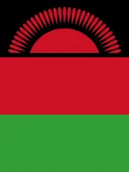 Malawi Appoints National Focal Point for the International Volunteer Year 2026