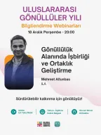 Networking and Partnership Development in the Field of Volunteering 