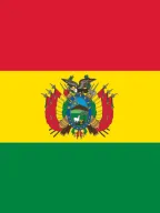 Bolivia Appoints Focal Point for International Volunteer Year 2026