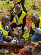 ‘Forest of Hope’ Campaign In Celebration of World Soil Day and International Mountain Day - Kenya
