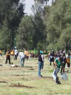 Jornada de Reforestación en el Bosque de San Juan de Aragón