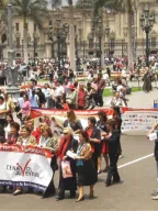 Creación del Comité Cívico Nacional del Año Internacional de los Voluntarios para el Desarrollo Sostenible – Perú AIV 2026